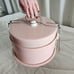 Vintage cake carry container
