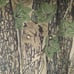 Vintage Gander Mountain Camo Jacket Full Zip Lined Hunting Mens XXL TALL