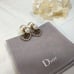 D*IOR Earrings
