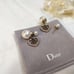 D*IOR Earrings