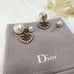 D*IOR Earrings