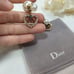 D*IOR Earrings