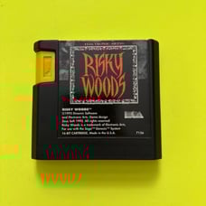 Risky woods for sega genesis