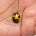 Tiger Eye Gemstone Cab-4Pc-TEL-36