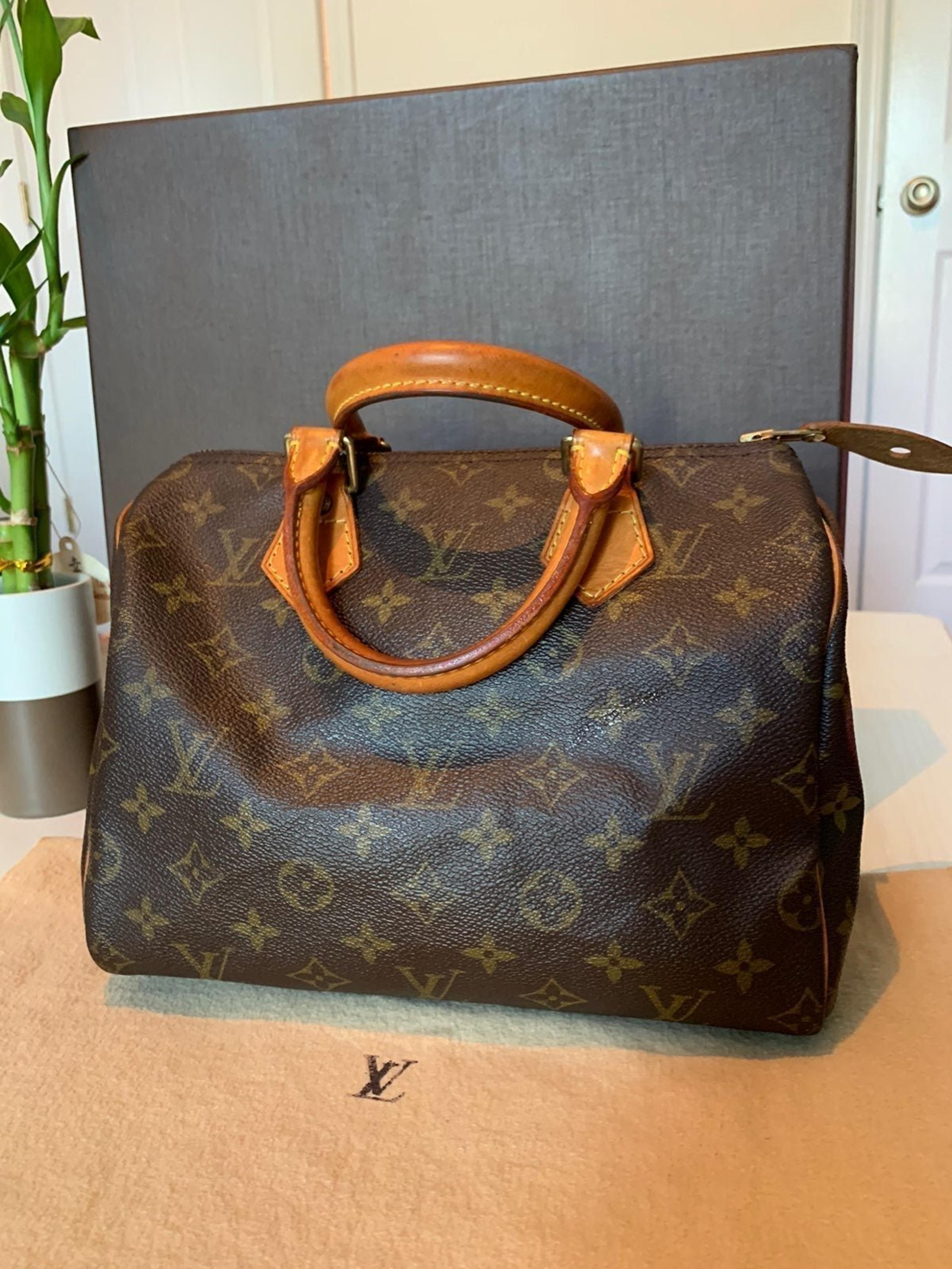 Louis Vuitton Speedy Bouliere Monogram E