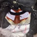 Skullcrusher Dino mask