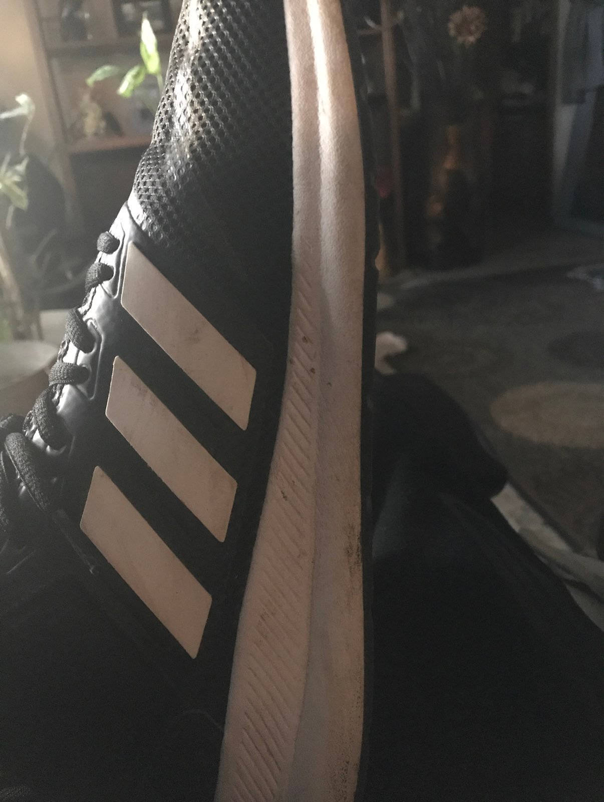 mens Adidas shoes
