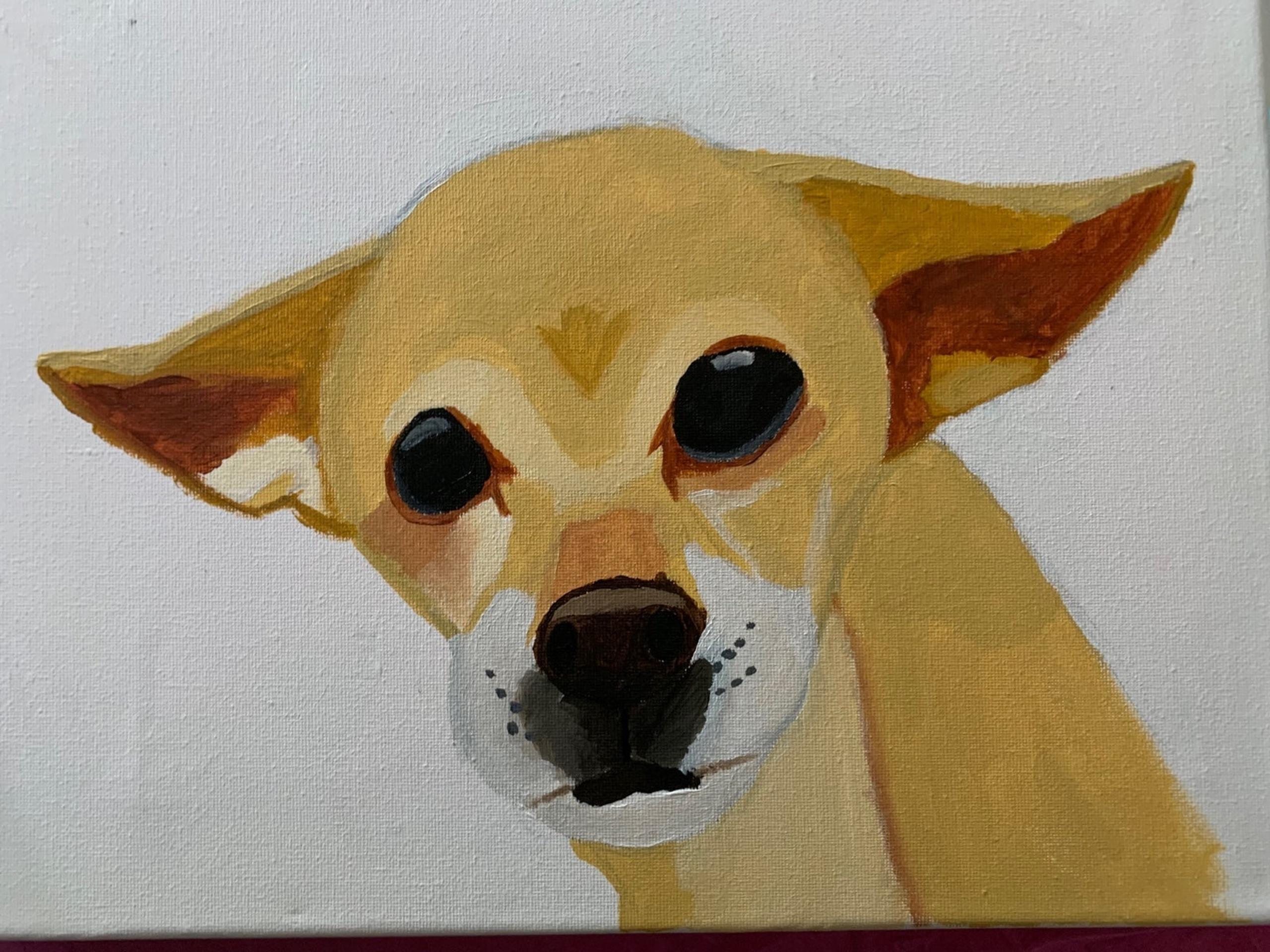 Dog/Cat/Pet Portrait