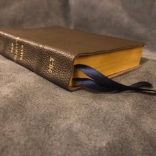 new believer's bible nlt greg laurie Genuine Leather New Living Translation