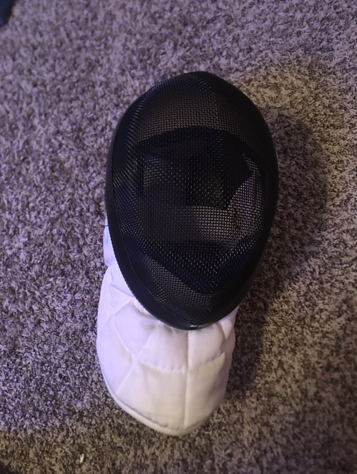 Fencing Helmet