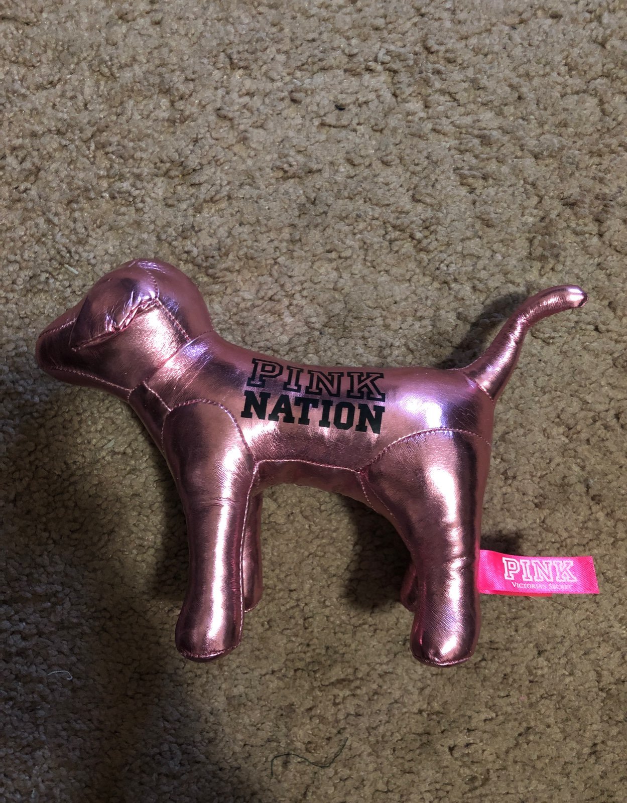 Pink Nation Dog