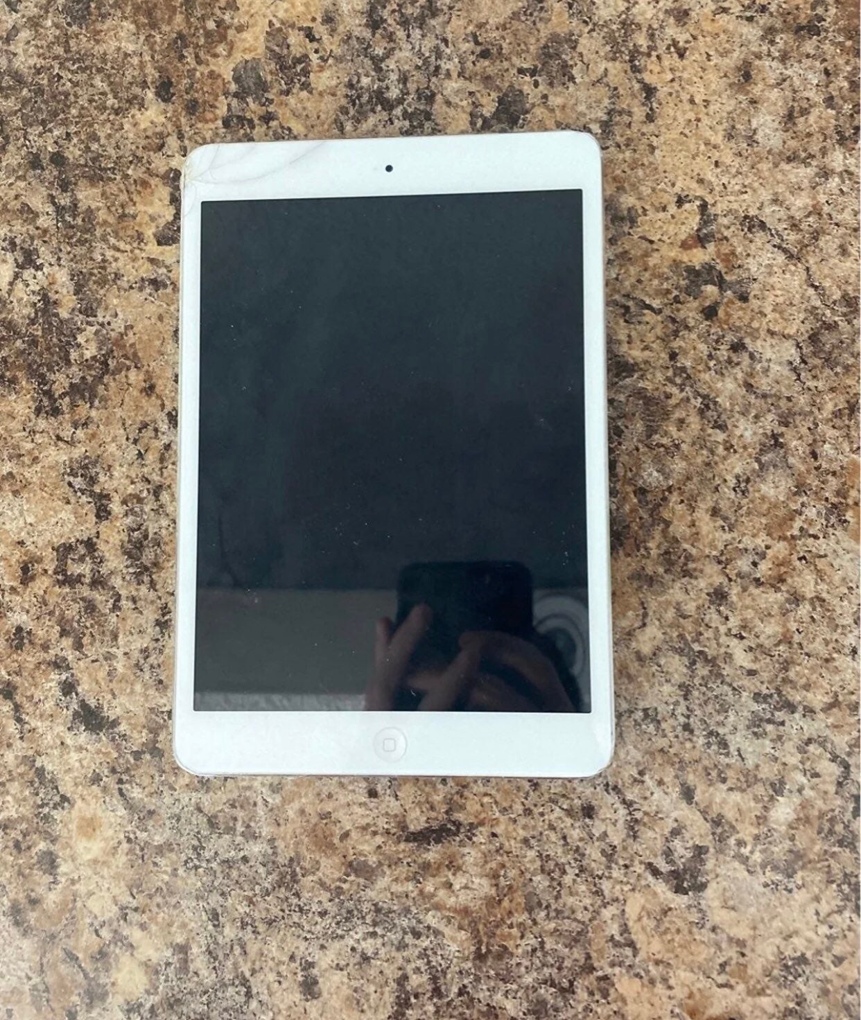 Ipad mini 1