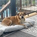 Washable Dog Bed Deluxe Plush Dog Crate Beds Fulffy Grey