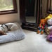 Washable Dog Bed Deluxe Plush Dog Crate Beds Fulffy Grey