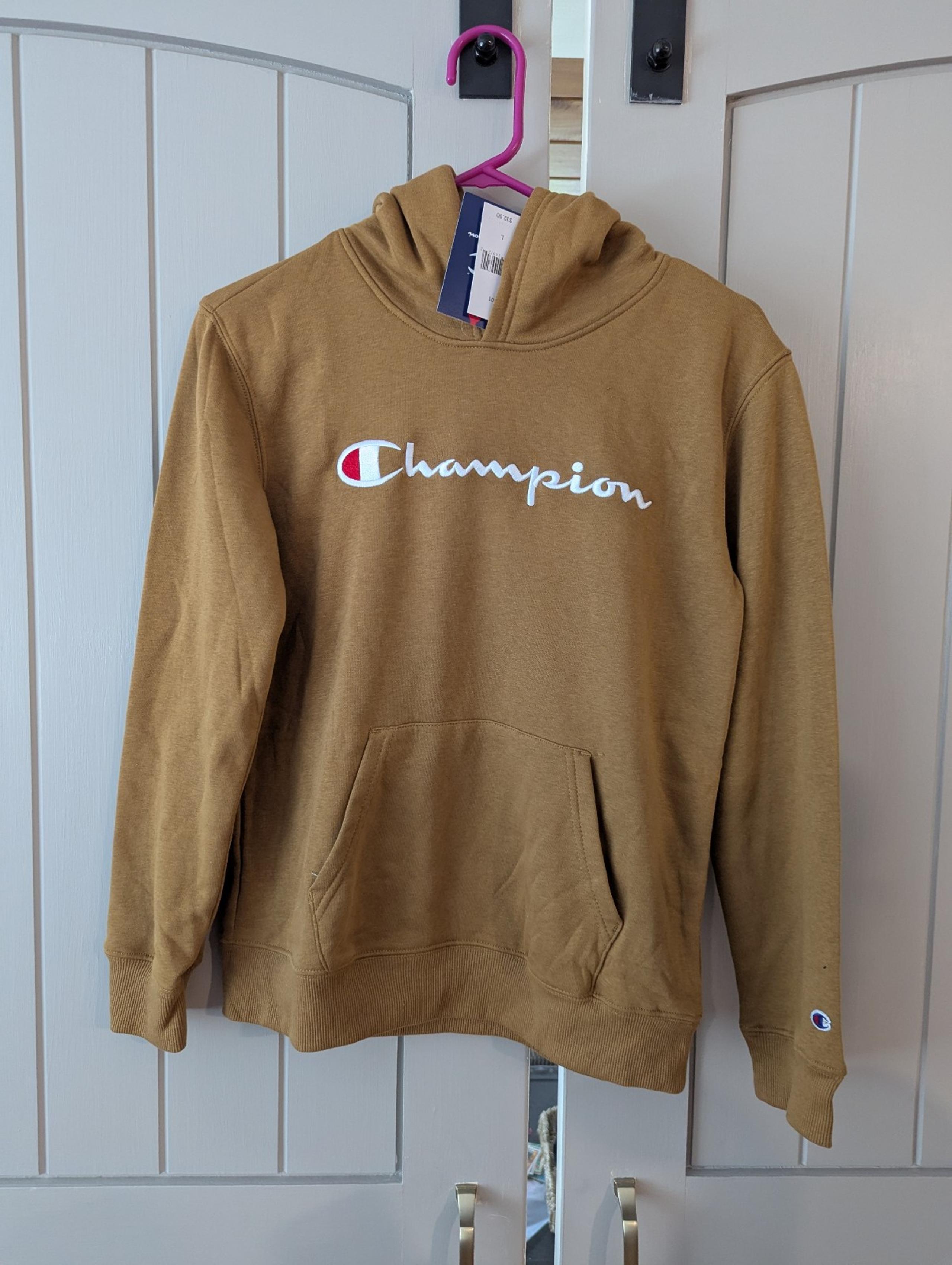 CHAMPION Kids' Embroidered Premium Fleece Hoodie In Bronze NEW. Size Large 14/16