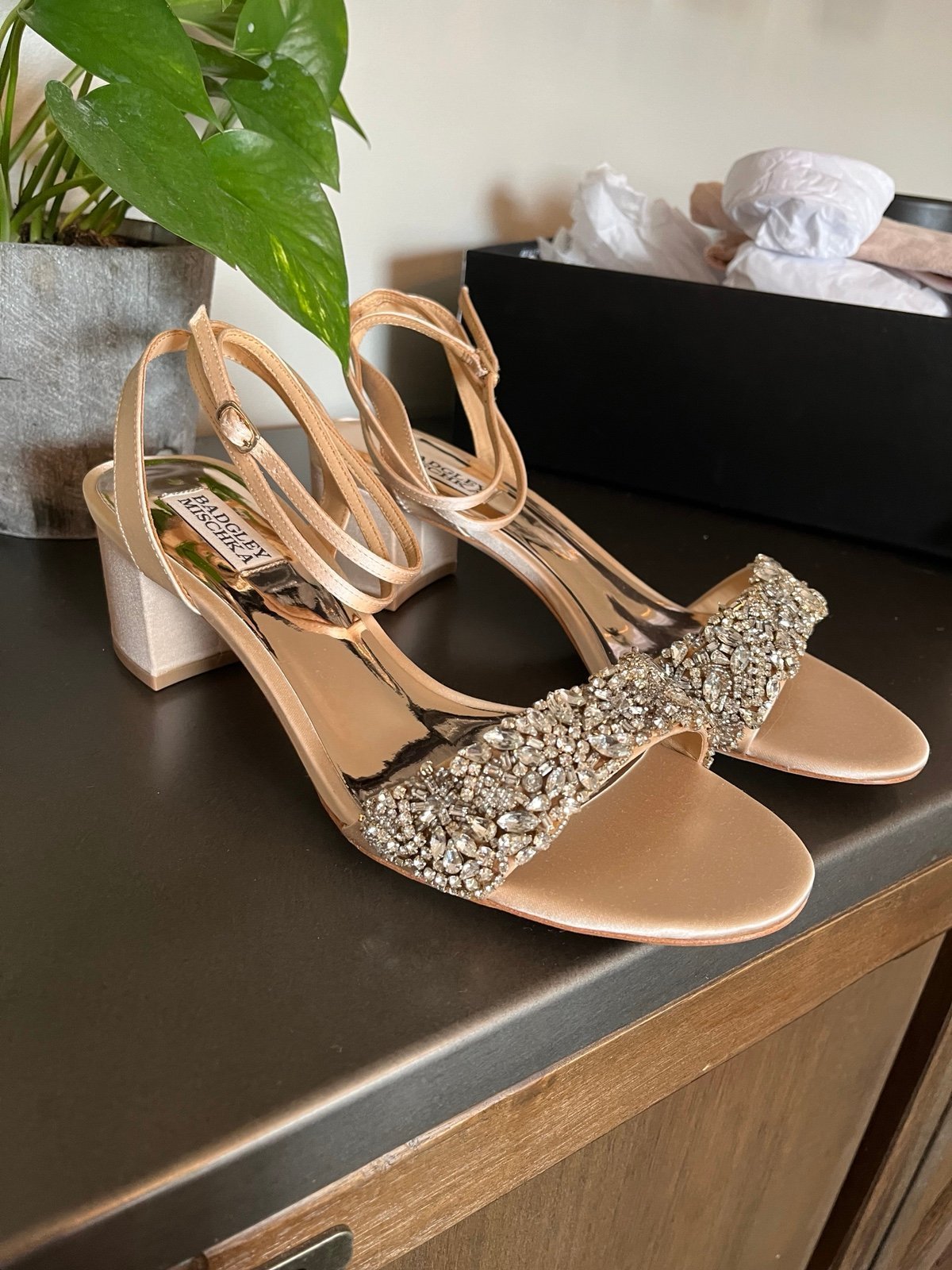 NWT- Badgley Mischka Jada Nude heels - Size 9