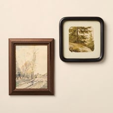 Hearth and Hand with Magnolia- Treescape framed wall art set