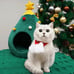 POOCH-LABS Christmas Cat House (48 x 40 x 40cm)