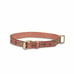LUCKY BRAND Embossed Leather Dog Collar Large 24 NWT