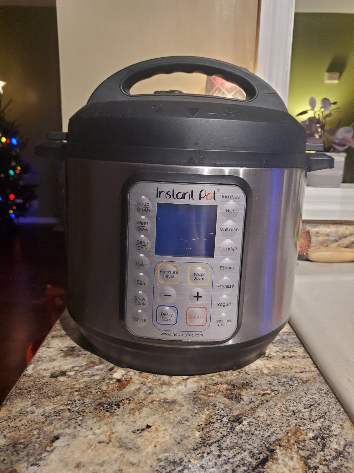 Instant Pot Duo Plus