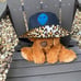 Custom Bucket Hat