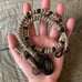 Wallet Chain