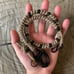 Wallet Chain