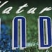 RICK MIRER SEATTLE SEAHAWKS POSTER #4365