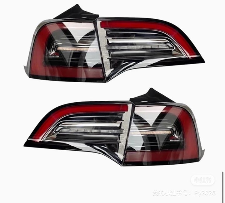 Tesla original taillight assemble