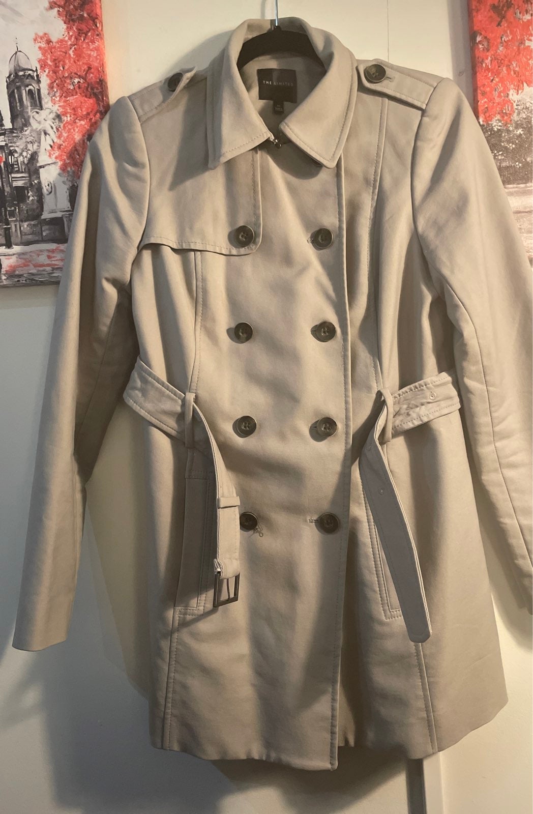 The Limited Trench Coat XS