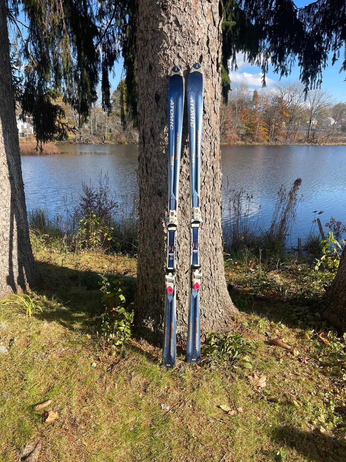 Atomic skis Beta Carv X carbon profile 190 cm downhill Tyrolia 590 bindings