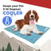 COLEMAN Pressure Activated Comfort Cooling Pet Mat (24 x30) Puncture Resistant!