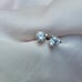 14k White Gold CZ Stud Earrings