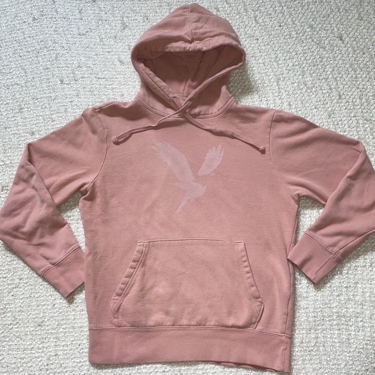 AMERICAN EAGLE SIZE SMALL SUPER SOFT FLEECE ICON GRAPHIC HOODIE