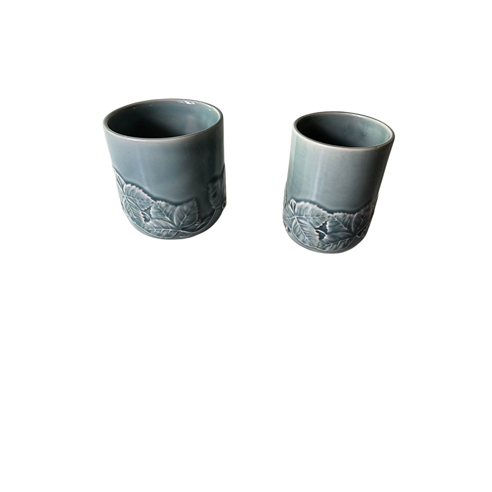 PIER 1 IMPORTS Green Celadon Embossed Floral Bathroom Toothbrush Holder Cup Set