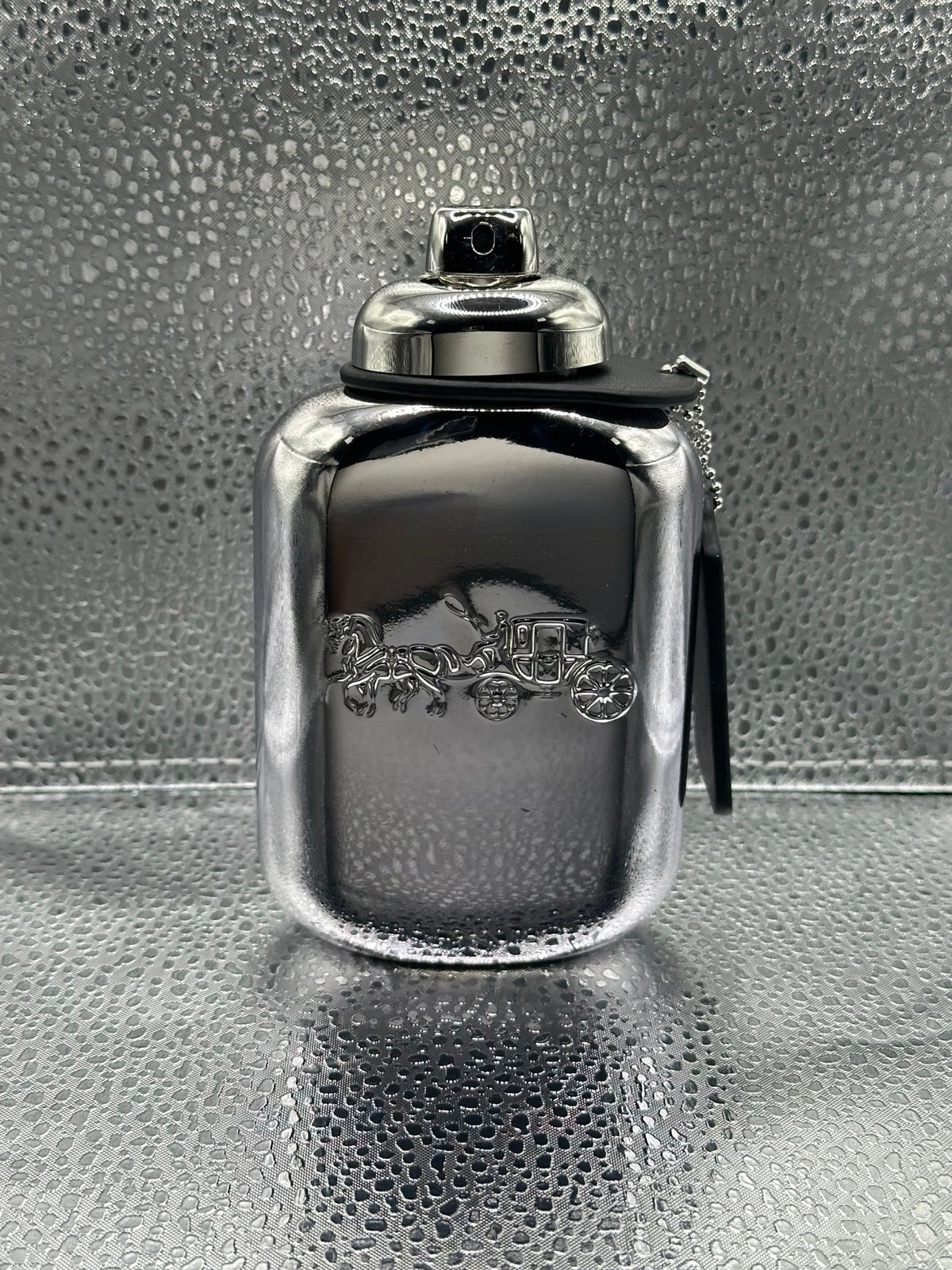 Coach platinum for men