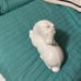 Ceramic horse figurine
