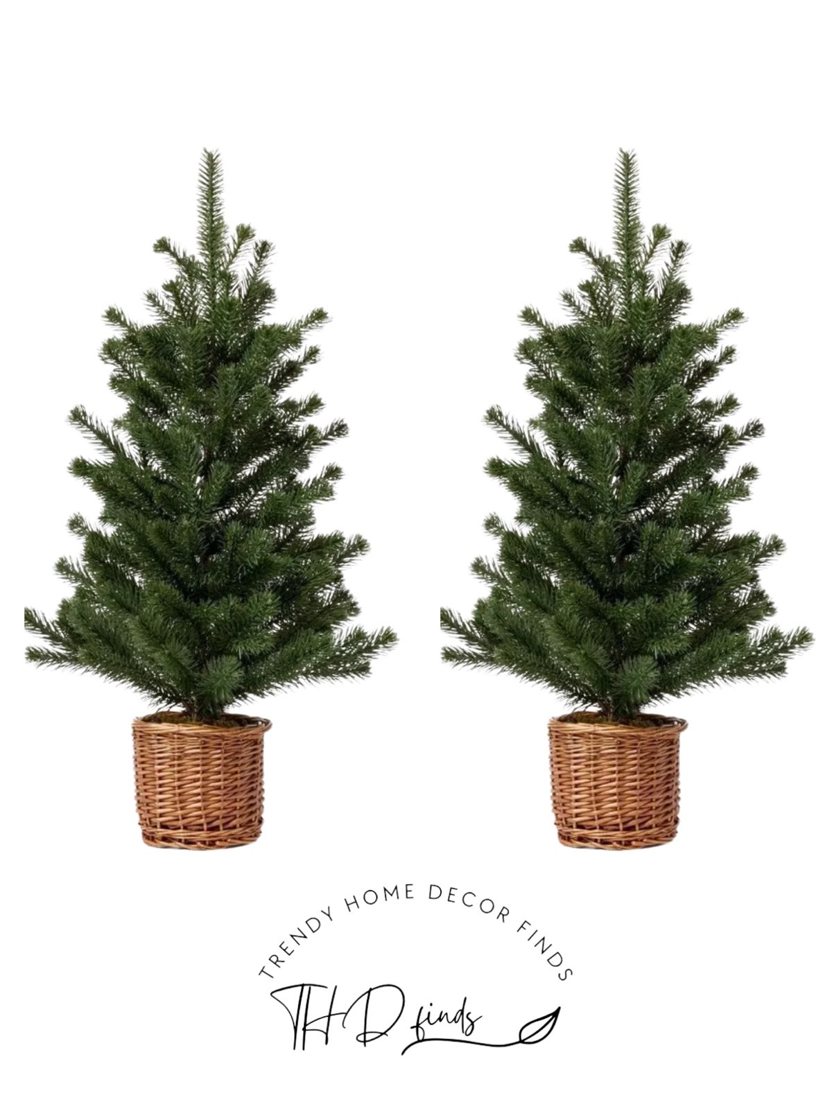 Large Pine Artificial Tree in Basket- Threshold designed with Studio McGee (TWO)