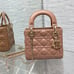 Dior Handbags