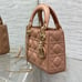 Dior Handbags