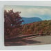 Used Posted Autumn Color Foliage Presents Stoneyman Mountain Vintage Post Card