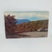 Used Posted Autumn Color Foliage Presents Stoneyman Mountain Vintage Post Card