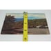 Used Posted Autumn Color Foliage Presents Stoneyman Mountain Vintage Post Card