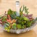 Succulent arrangement/ centrepiece / birthday gift/ home decor