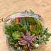 Succulent arrangement/ centrepiece / birthday gift/ home decor