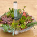 Succulent arrangement/ centrepiece / birthday gift/ home decor