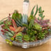 Succulent arrangement/ centrepiece / birthday gift/ home decor