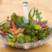 Succulent arrangement/ centrepiece / birthday gift/ home decor