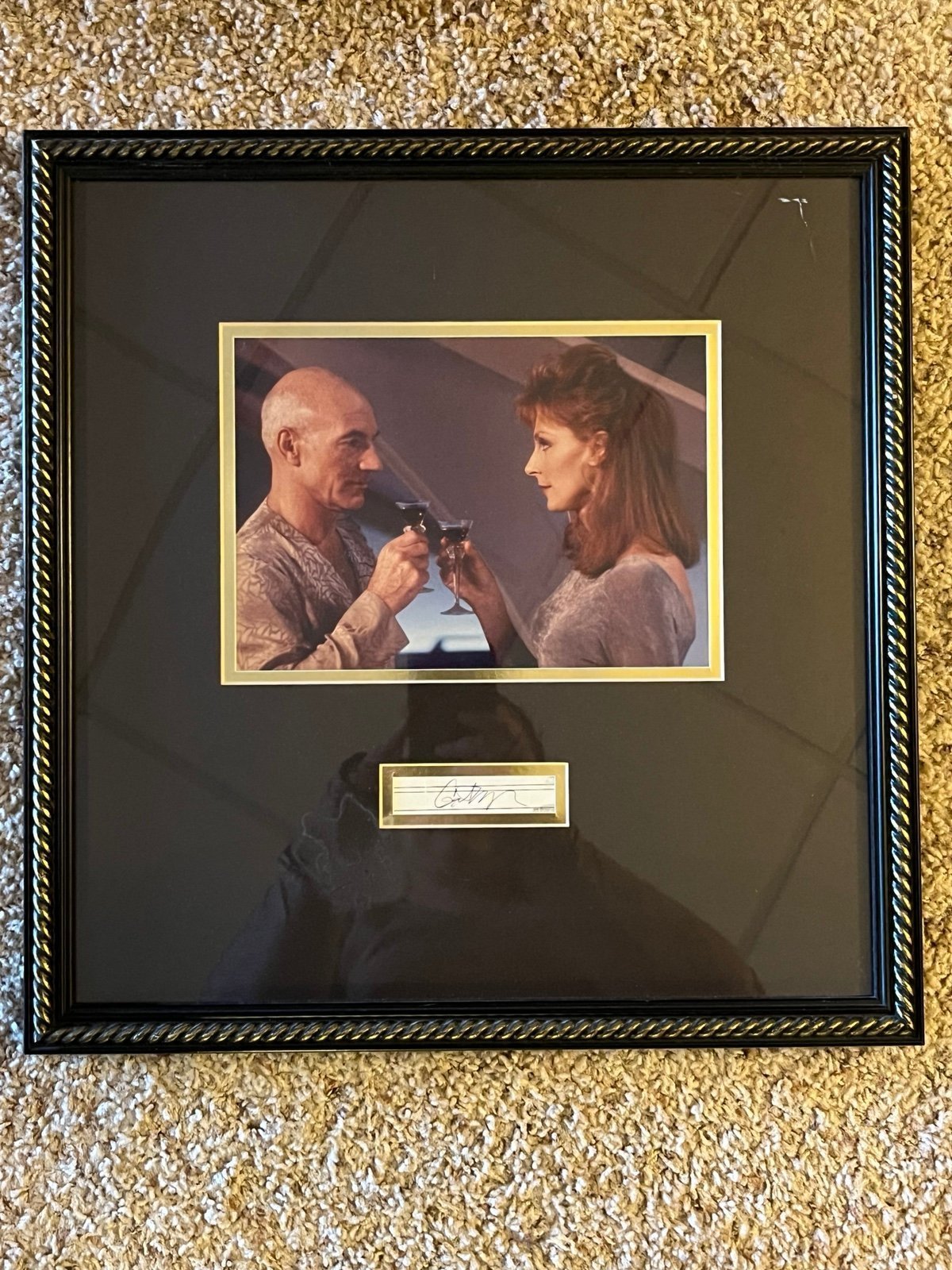 Star Trek Autographed Print