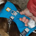 Ruffwear Front Range Harness sz L in Black, Great Condition